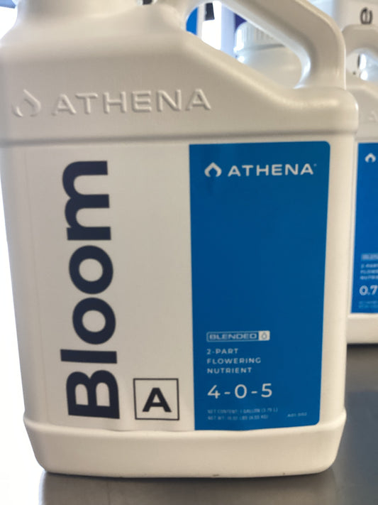 Athena Bloom A 1GAL