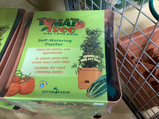 Tomato Tree