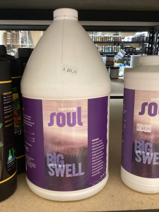 Aurora innovations Soul Big Swell, 1 gal