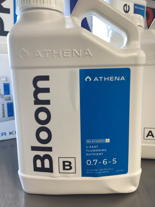 Athena Bloom B 1GAL