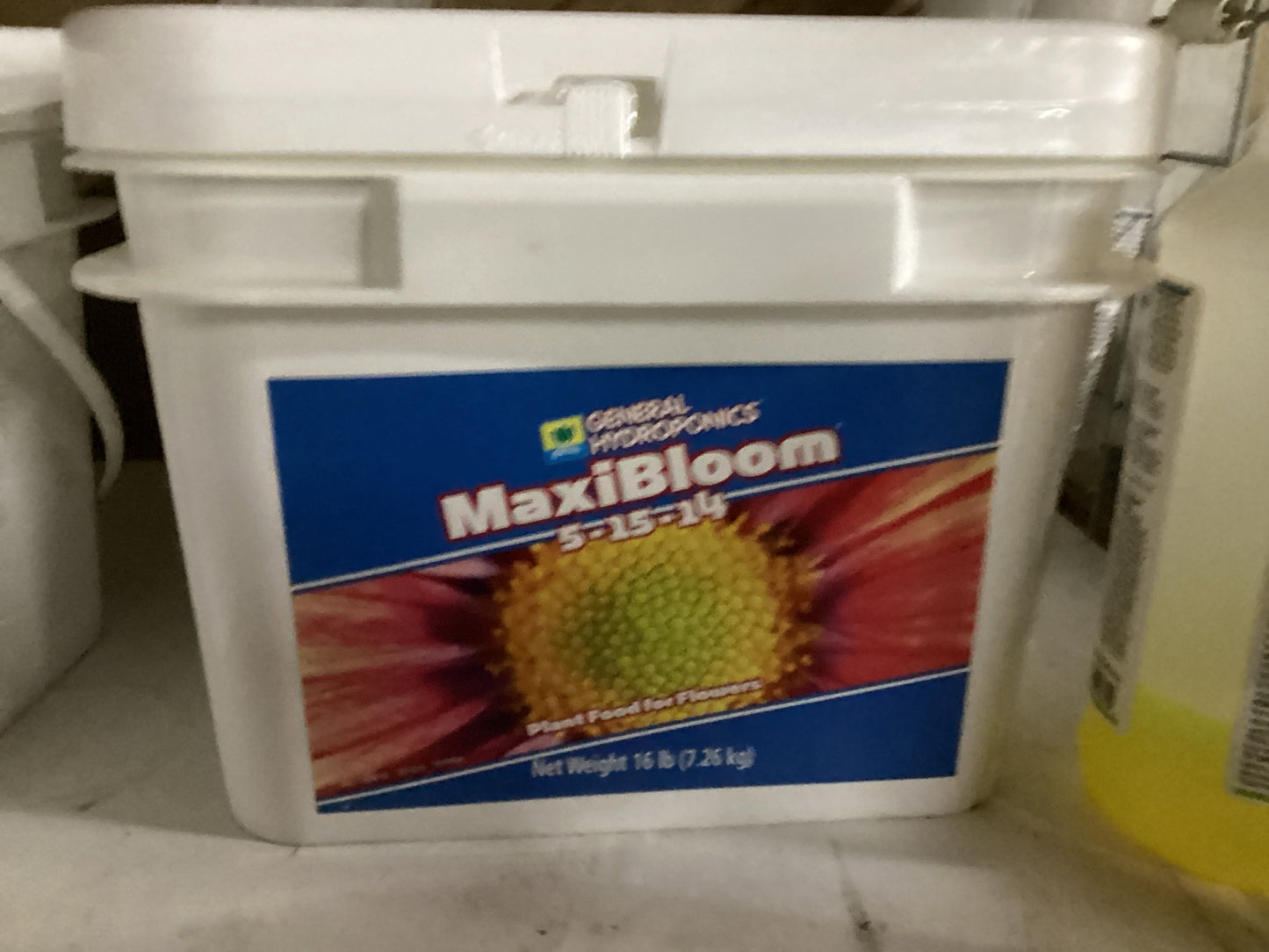 Maxi bloom 16 lb