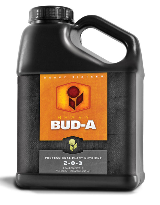HEAVY 16 BUD A Gallon