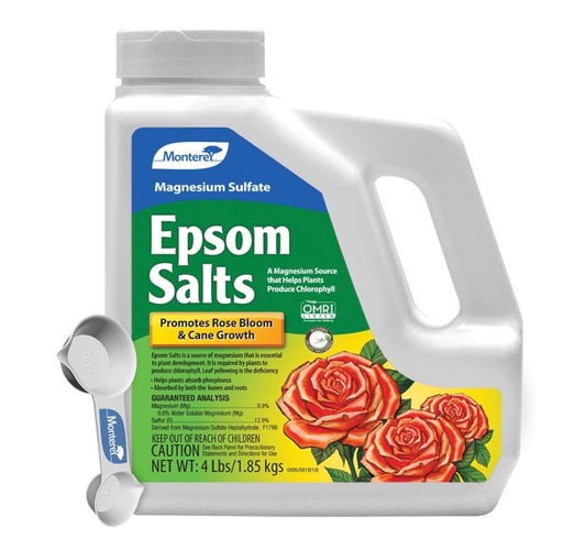 Monterey Epsom Salts Magnesium Sulfate Bundled with Measuring Spoon – 4lbs – Promotes Rose Bloom & Cane Growth, Enhances Chlorophyll Production, Boosts Phosphorus Absorption