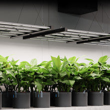 IONFRAME EVO4, SAMSUNG LM301H EVO COMMERCIAL LED GROW LIGHT, 300W, 3X3 FT