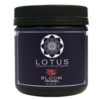 Lotus Bloom 16oz – Homegrown 101-Canandaigua